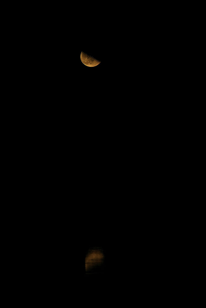 Moonrise over Canisbay Lake in Algonquin Park, November 2023 v1