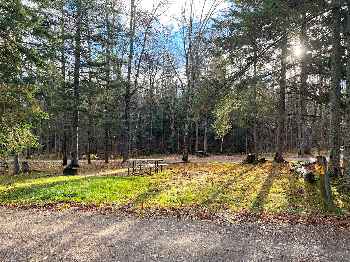 Campsite with picnic table at the Raccoon Lake Campground in Algonquin Park, October 2023