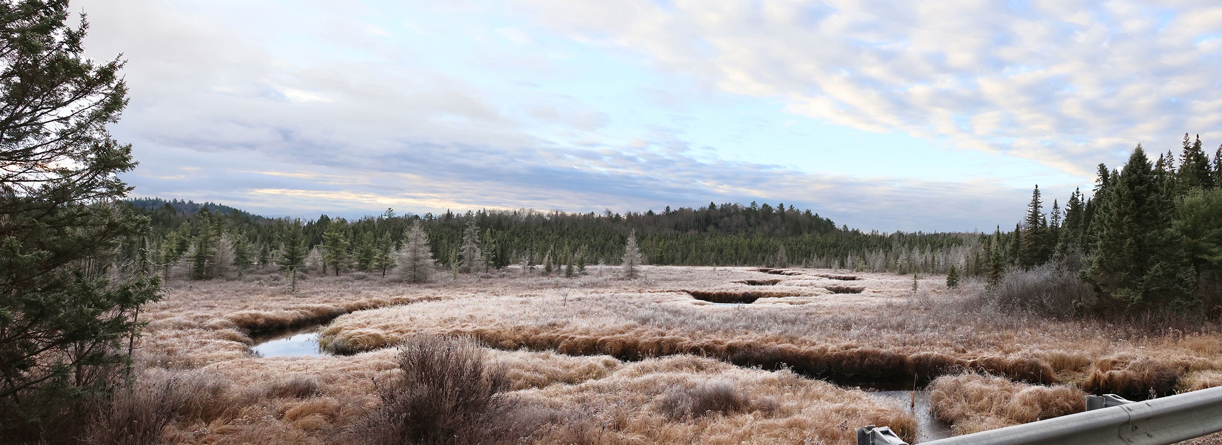Panorama of the wetlands opposite of Spruce Bog Trail in Algonquin Park, November 2023