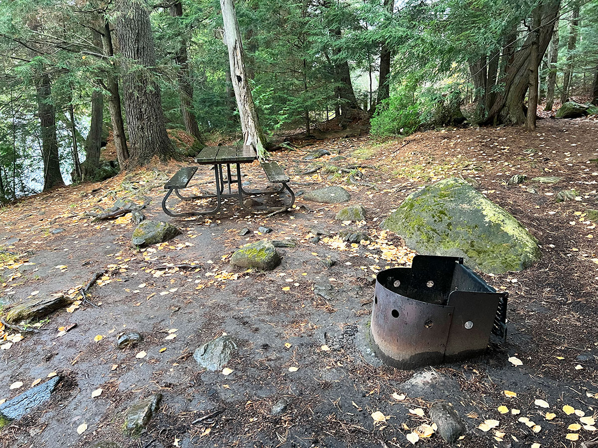 Fire Pit and Picnic Bench at Tea Lake Campground Campsite in Algonquin Park, October 2023