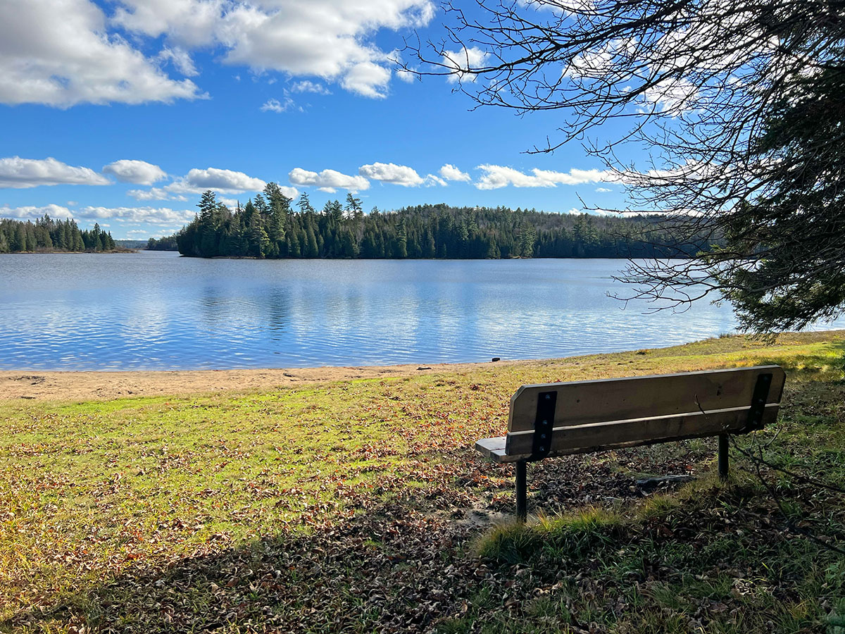 Bench overlooking the lake at Whitefish Lake Campground in Algonquin Park, October 2023