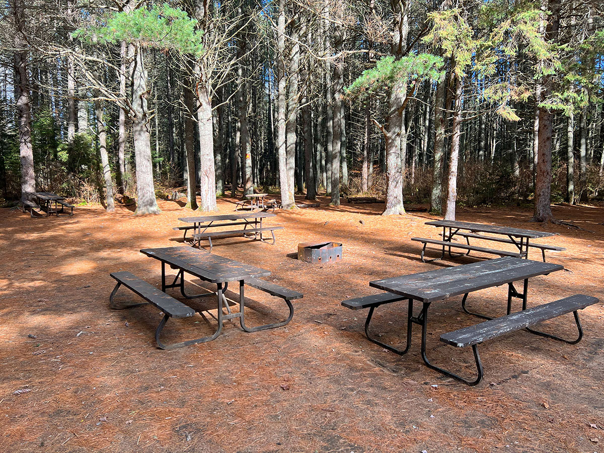 Several picnic tables at a campsite at the Whitefish Lake Campground in Algonquin Park, October 2023